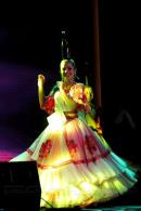 13 Festival Nacional del Taninero y 6 Festival provincial de Chamam en Puerto Tirol