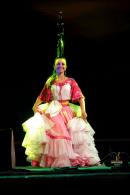 13 Festival Nacional del Taninero y 6 Festival provincial de Chamam en Puerto Tirol