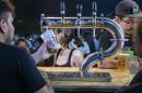 6 Festival de la Cerveza Artesanal