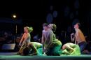 Puerto Tirol: Fiesta Provincial del Chamam 2018