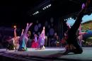 Puerto Tirol: Fiesta Provincial del Chamam 2018