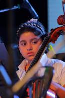 Puerto Tirol: Fiesta Provincial del Chamam 2018