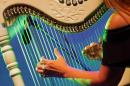 Puerto Tirol: Fiesta Provincial del Chamam 2018