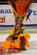 Corrientes, Capital Nacional del Carnaval 2015