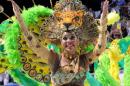 Corrientes, Capital Nacional del Carnaval 2015