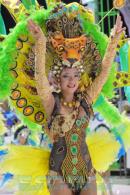 Corrientes, Capital Nacional del Carnaval 2015