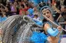 Corrientes, Capital Nacional del Carnaval 2015