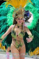 Corrientes, Capital Nacional del Carnaval 2015