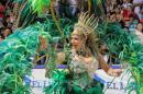 Corrientes, Capital Nacional del Carnaval 2015