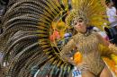 Corrientes, Capital Nacional del Carnaval 2015