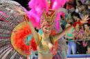 Corrientes, Capital Nacional del Carnaval 2015