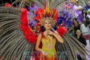 Corrientes, Capital Nacional del Carnaval 2015