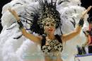 Corrientes, Capital Nacional del Carnaval 2015
