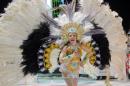 Corrientes, Capital Nacional del Carnaval 2015