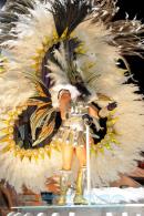 Corrientes, Capital Nacional del Carnaval 2015