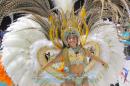 Corrientes, Capital Nacional del Carnaval 2015