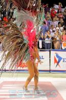 Corrientes, Capital Nacional del Carnaval 2015