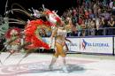 Corrientes, Capital Nacional del Carnaval 2015
