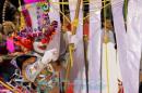 Corrientes, Capital Nacional del Carnaval 2015