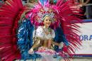 Corrientes, Capital Nacional del Carnaval 2015