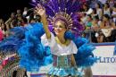 Corrientes, Capital Nacional del Carnaval 2015
