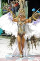 Corrientes, Capital Nacional del Carnaval 2015