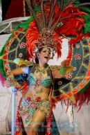 Corrientes, Capital Nacional del Carnaval 2015
