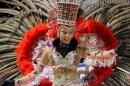 Corrientes, Capital Nacional del Carnaval 2015