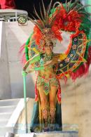 Corrientes, Capital Nacional del Carnaval 2015