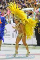 Corrientes, Capital Nacional del Carnaval 2015