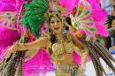 Corrientes, Capital Nacional del Carnaval 2015