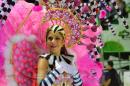 Corrientes, Capital Nacional del Carnaval 2015