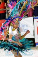 Corrientes, Capital Nacional del Carnaval 2015