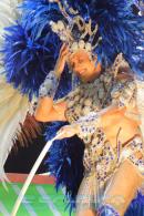 Corrientes, Capital Nacional del Carnaval 2015
