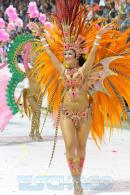Corrientes, Capital Nacional del Carnaval 2015