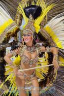 Corrientes, Capital Nacional del Carnaval 2015