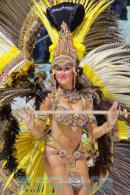 Corrientes, Capital Nacional del Carnaval 2015