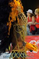 Corrientes, Capital Nacional del Carnaval 2015