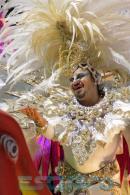 Corrientes, Capital Nacional del Carnaval 2015