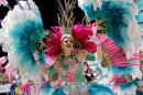 Corrientes, Capital Nacional del Carnaval 2015