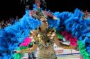 Corrientes, Capital Nacional del Carnaval 2015