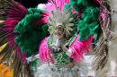 Corrientes, Capital Nacional del Carnaval 2015