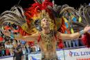 Corrientes, Capital Nacional del Carnaval 2015