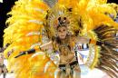 Corrientes, Capital Nacional del Carnaval 2015