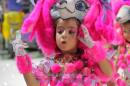 Corrientes, Capital Nacional del Carnaval 2015