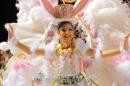 Corrientes, Capital Nacional del Carnaval 2015