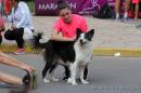 Maratn Solidaria por el Hospital Peditrico
