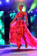 Apertura 24 Fiesta Nacional del Chamam en Corrientes