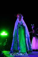 Apertura 24 Fiesta Nacional del Chamam en Corrientes. Parte II