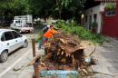 Destrozos del temporal